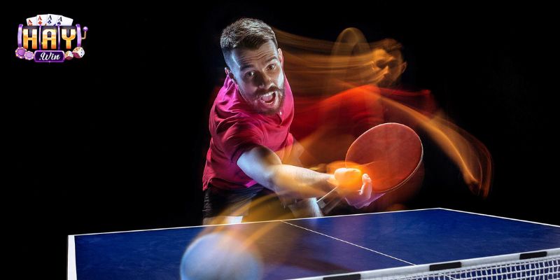Bóng Bàn Haywin: Cược Kịch Tính Với Từng Pha Giật Bóng 